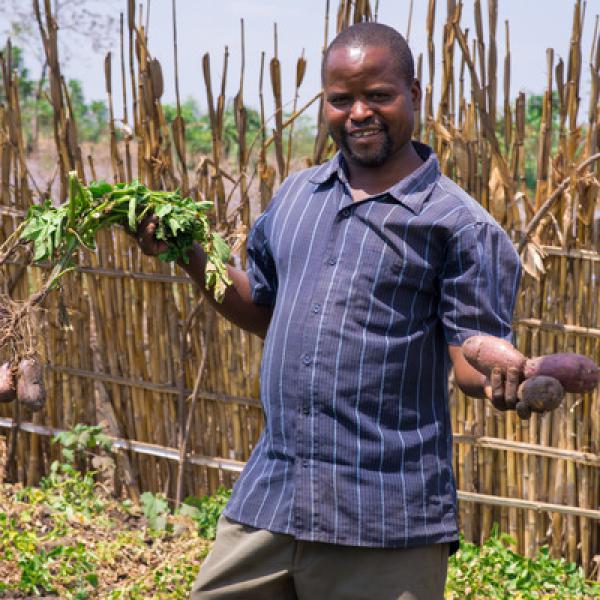 Farmer Displaying Yield